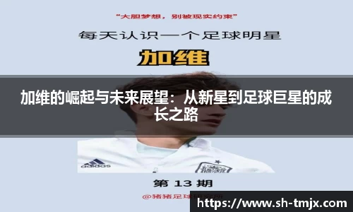 韦德体育