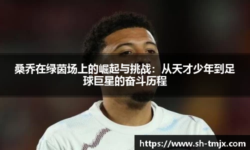 韦德体育