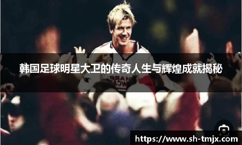 韩国足球明星大卫的传奇人生与辉煌成就揭秘